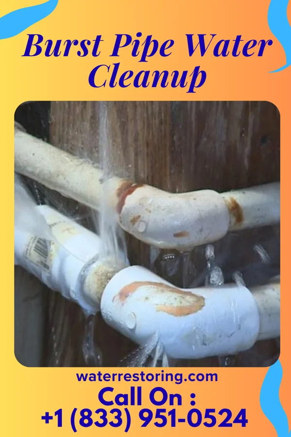 Burst Pipe Water Cleanup in Gratiot, WI