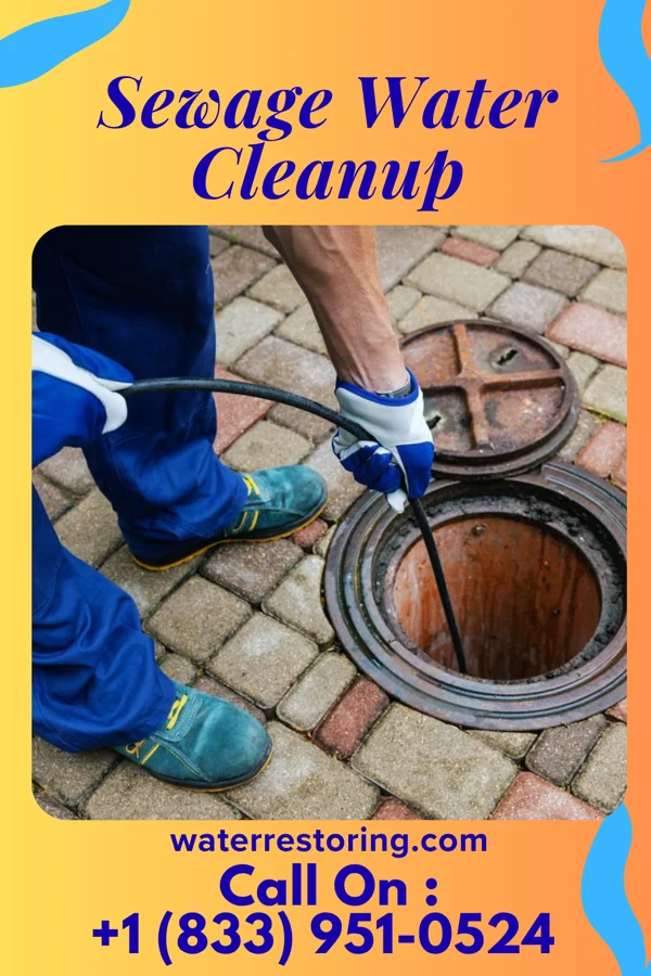 Sewage Water Cleanup in Gratiot, WI